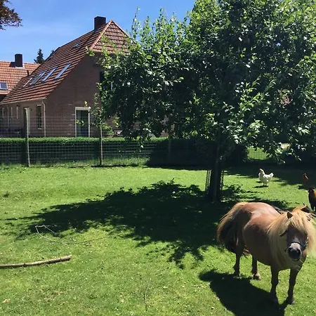 Gastenverblijf Hubers *